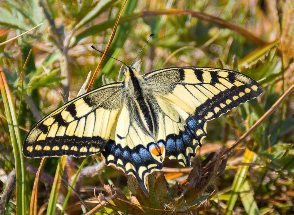 Photograph by Дмитрий Мальцев
