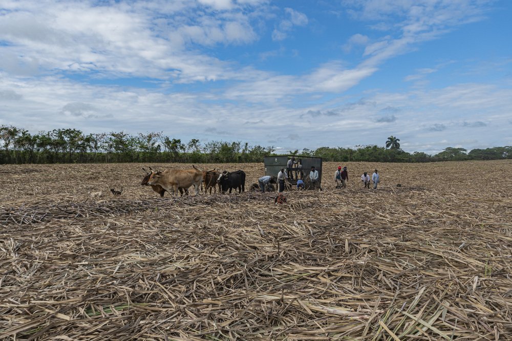 Photograph by Lidia Losada Campaña