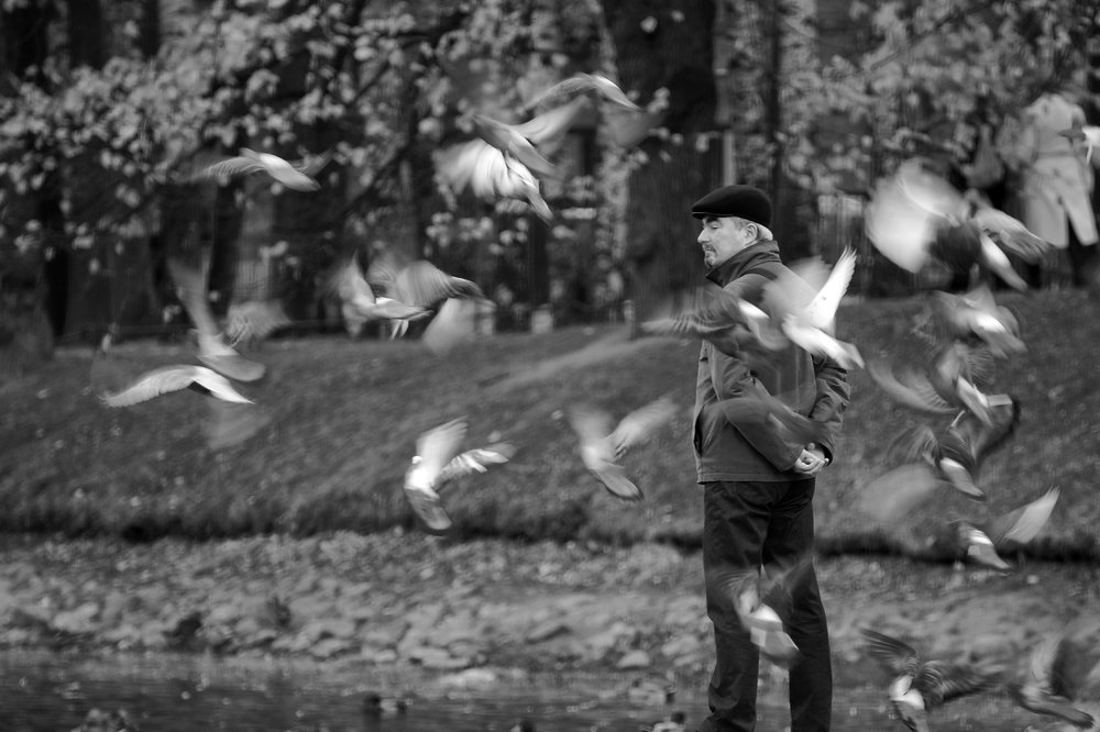 Невозмутимый