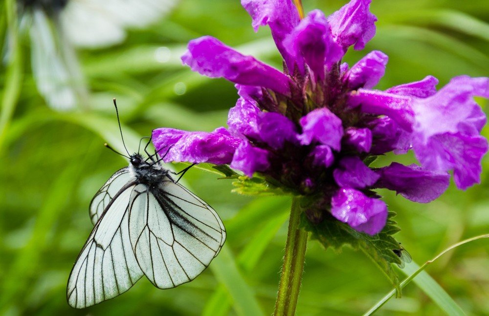 Photograph by Дмитрий Мальцев