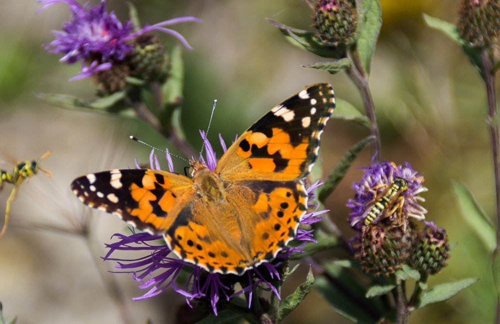 Photograph by Дмитрий Мальцев