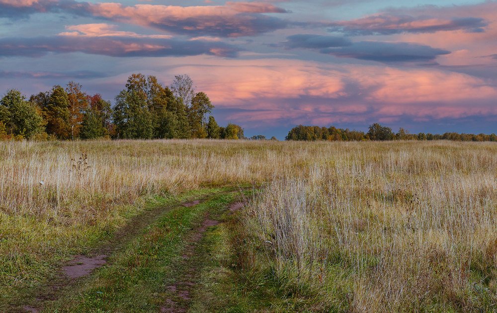 Дорога в поле.