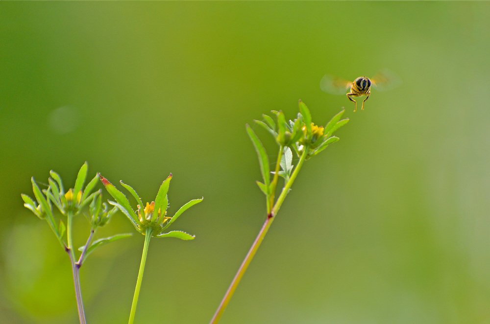 Photograph by Margarita