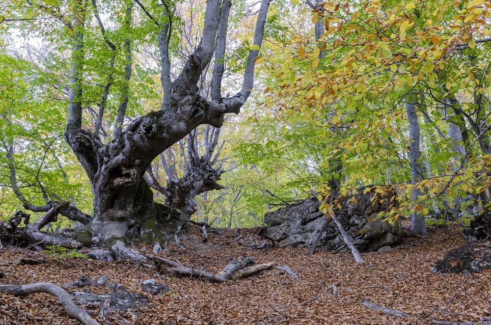 Photograph by Александр Щербаков