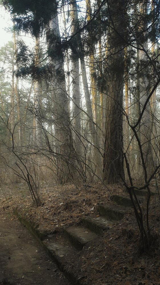 Photograph by Irina Volkova