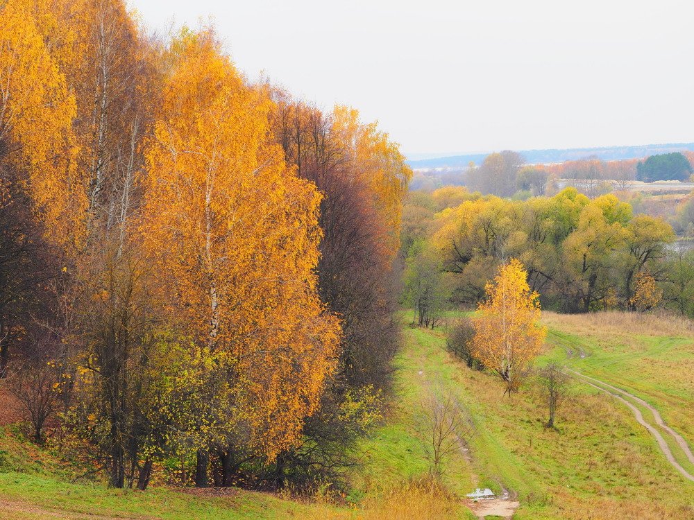 "Русский Барбизон"