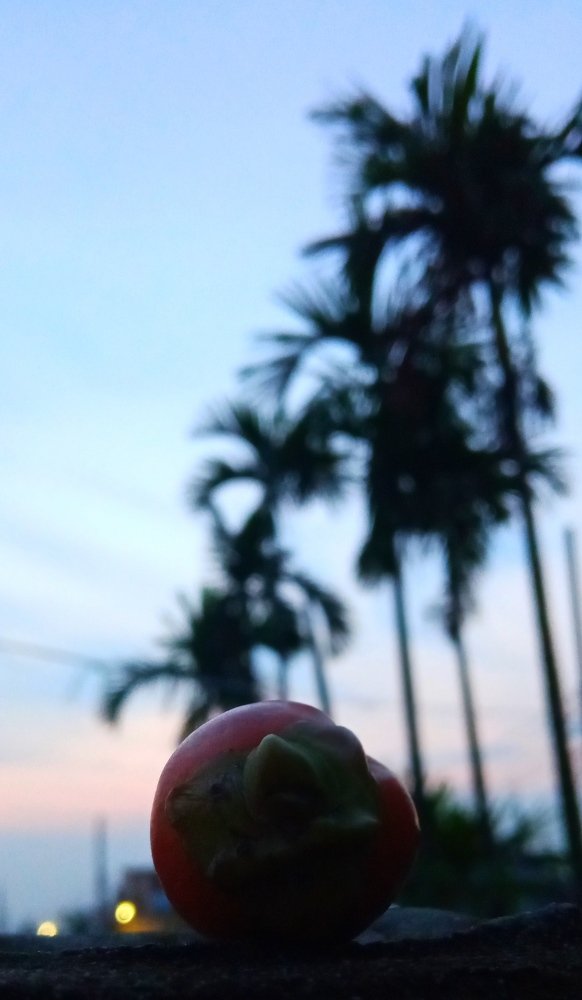 Photograph by Ahammed Shamim