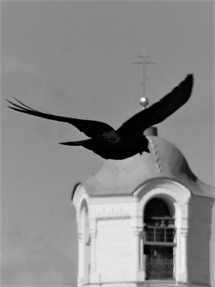 Photograph by Галина