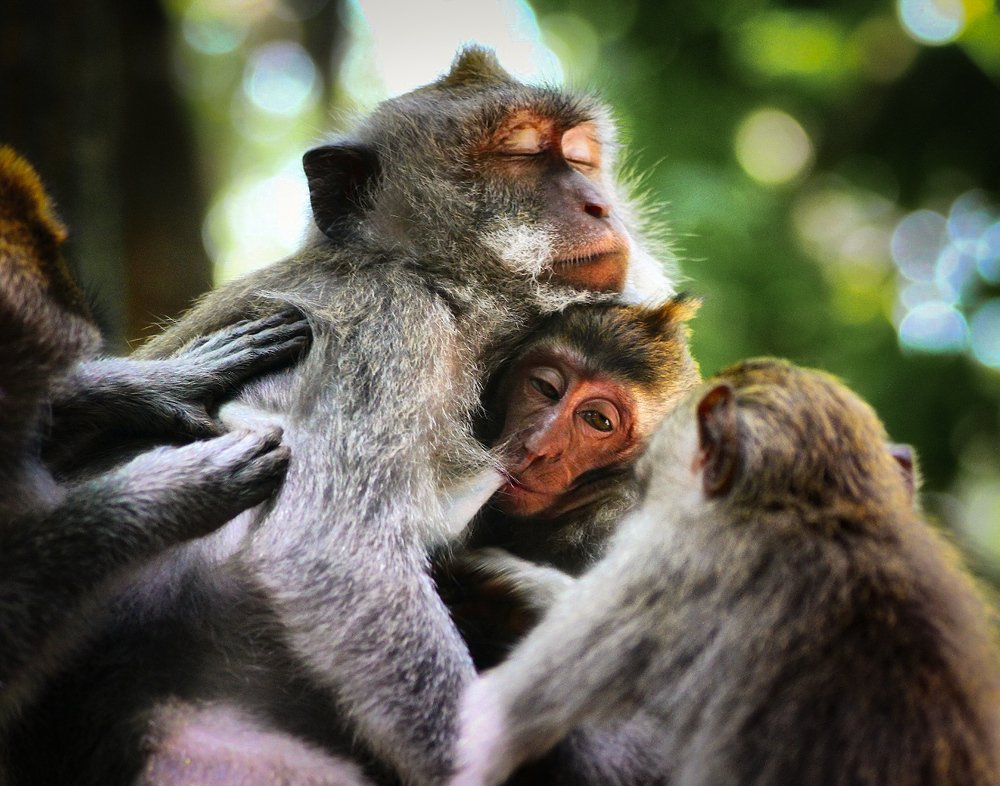 Photograph by Жанна Битюкова