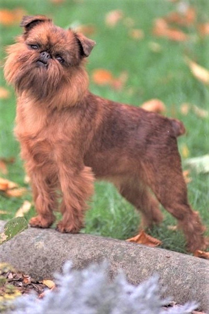 Photograph by Галина