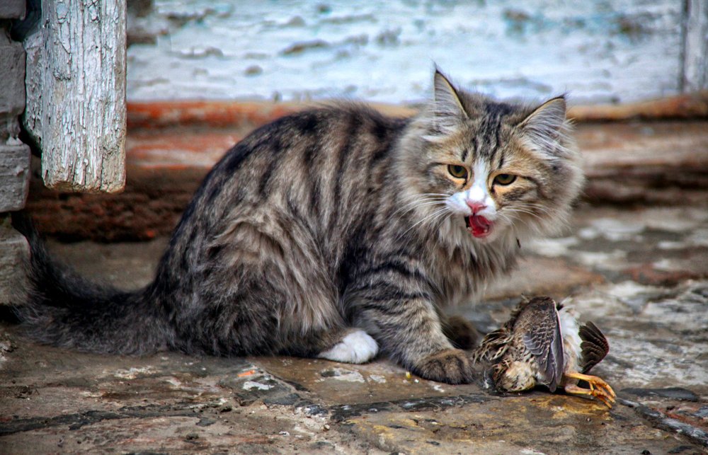 Photograph by Behzod Boltaev