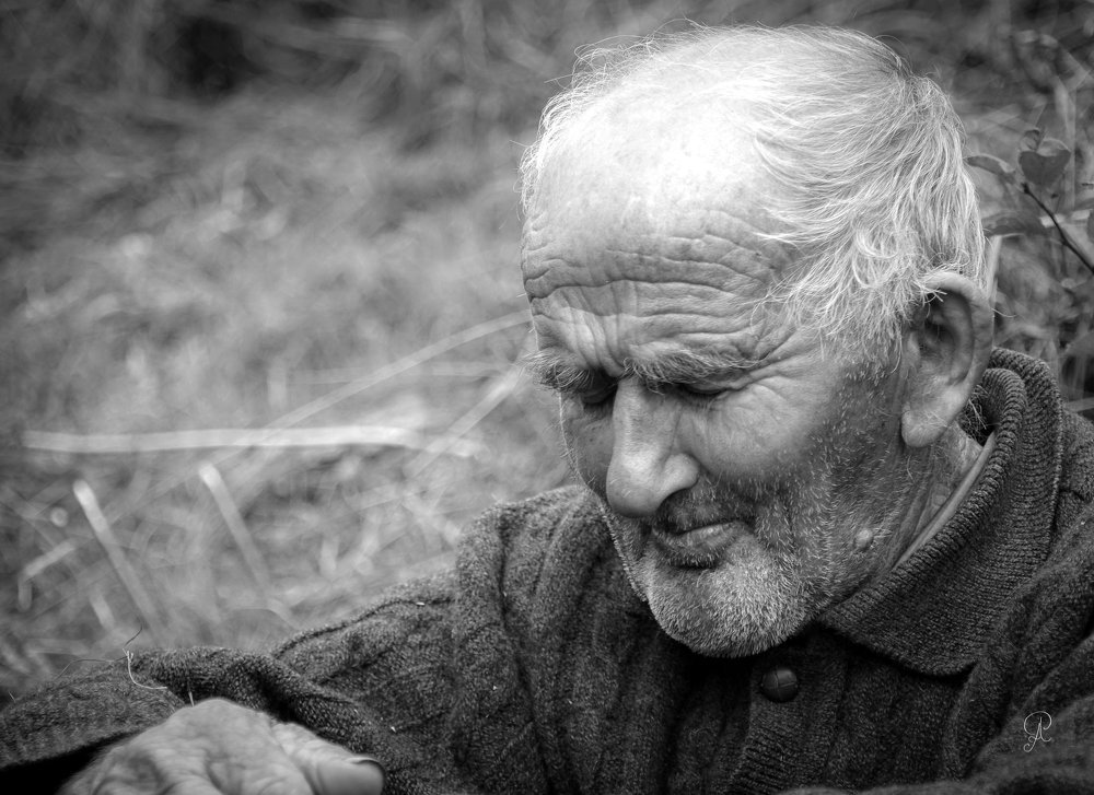 Photograph by POPOVICI ADRIANA