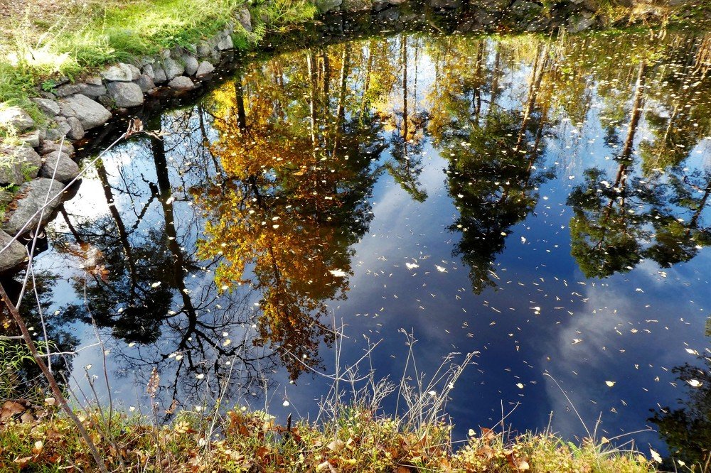 Photograph by Алексей Семкин