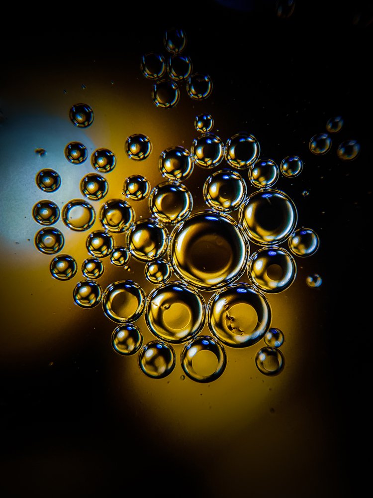 Photograph by Mehedi Hasan Shawan