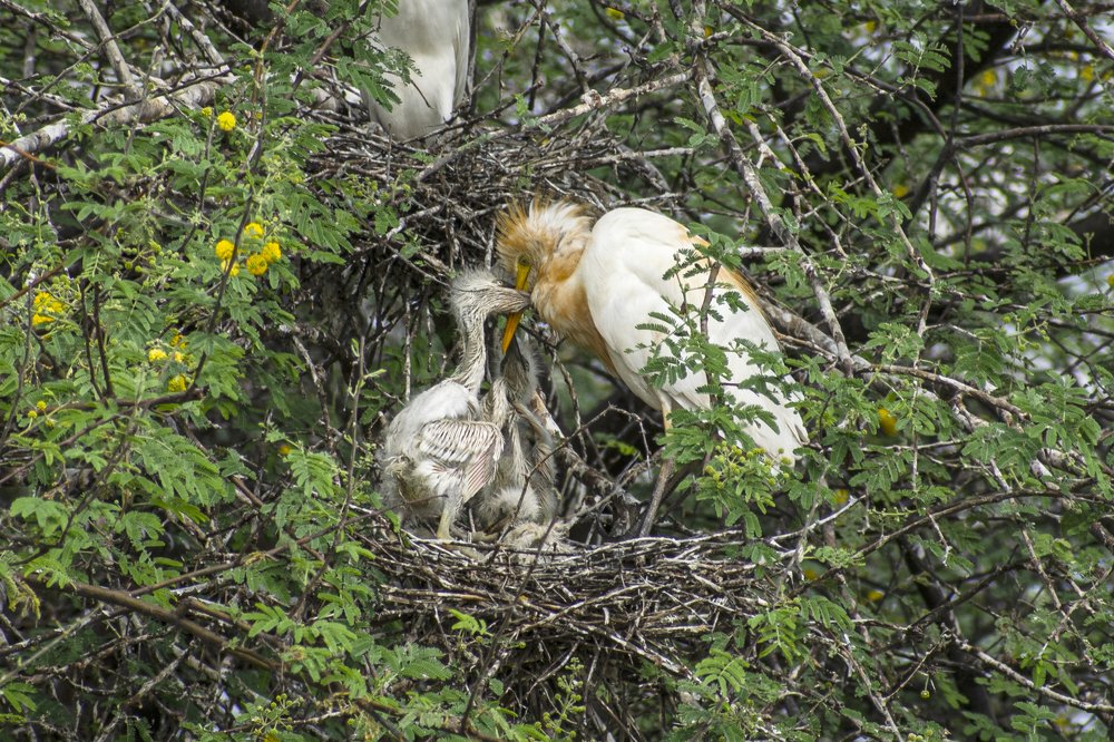 Photograph by mayur shrimali