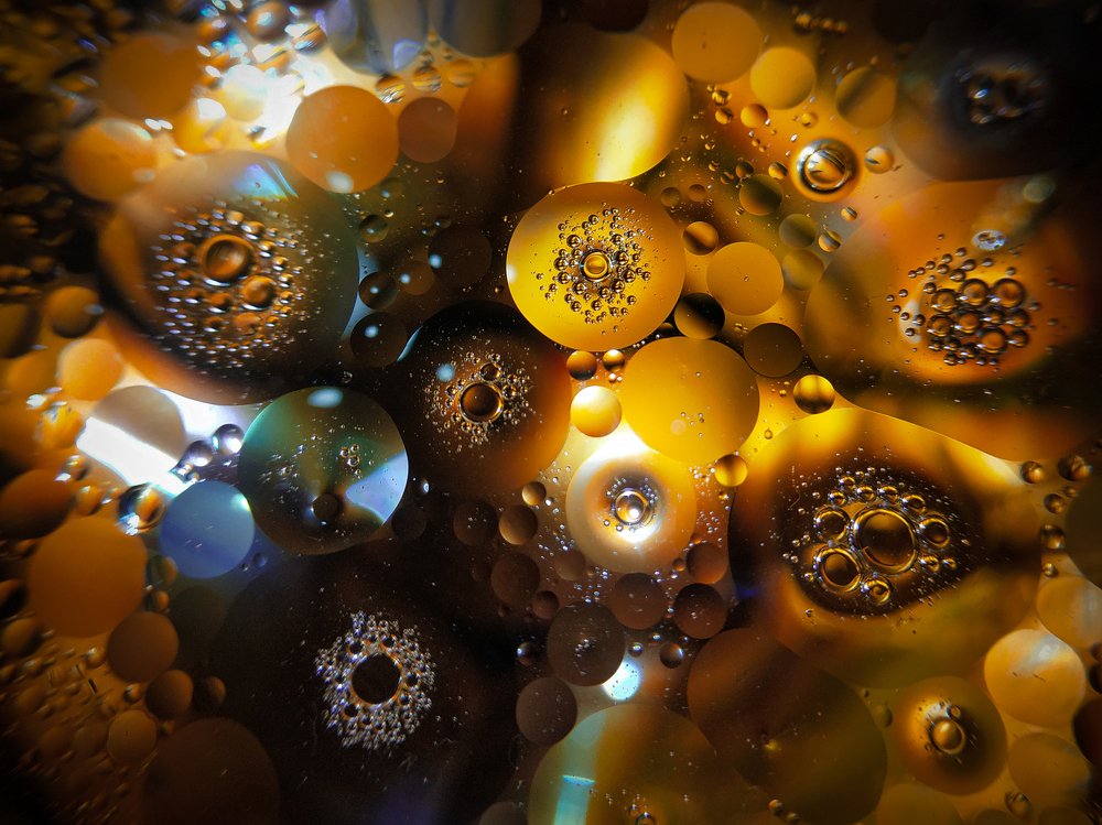 Photograph by Mehedi Hasan Shawan