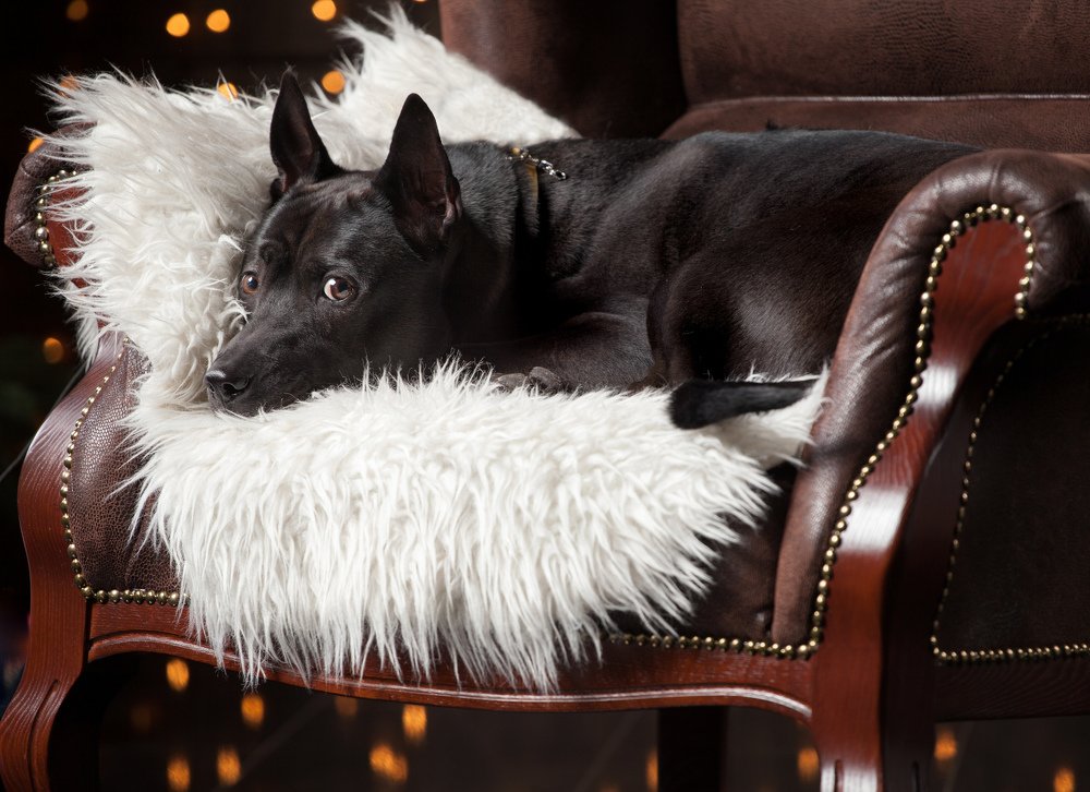 Photograph by Татьяна Макотра