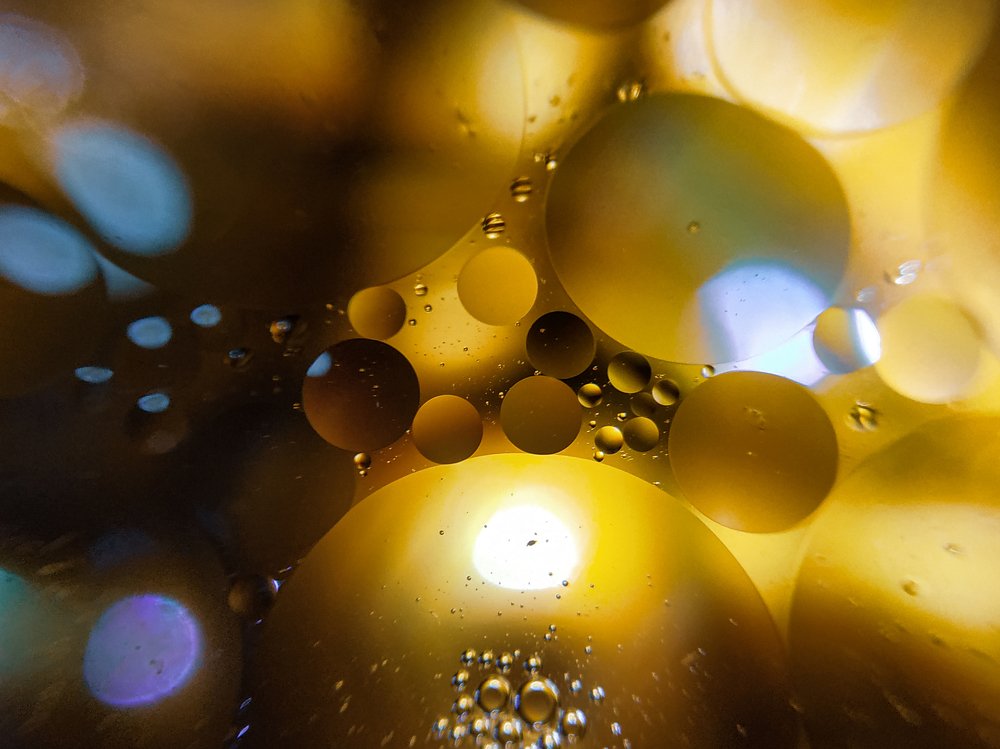 Photograph by Mehedi Hasan Shawan