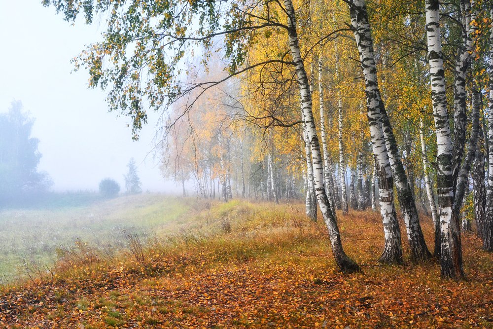 Photograph by Юлия Абрамова