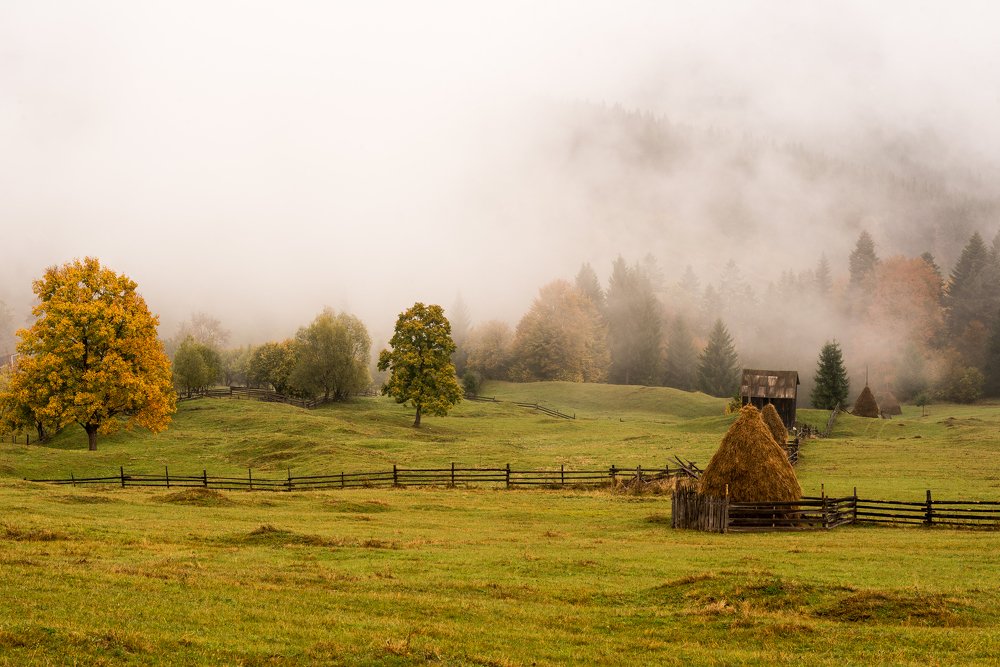 Photograph by Sanziana Rachiteanu