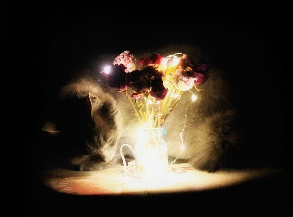 Photograph by Жанна Битюкова