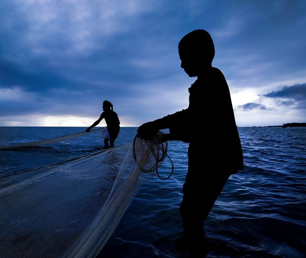 Photograph by Mehedi Hasan Shawan