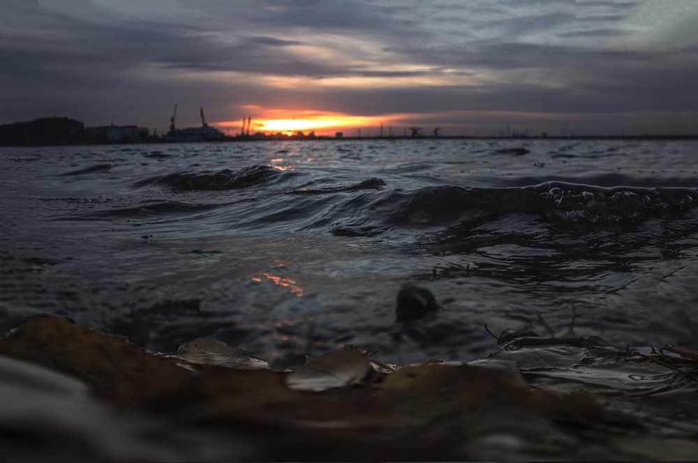 Photograph by миша