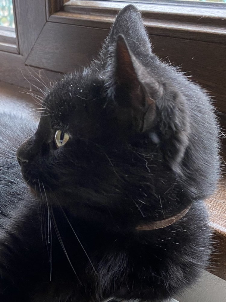 Photograph by Cristian Mirescu