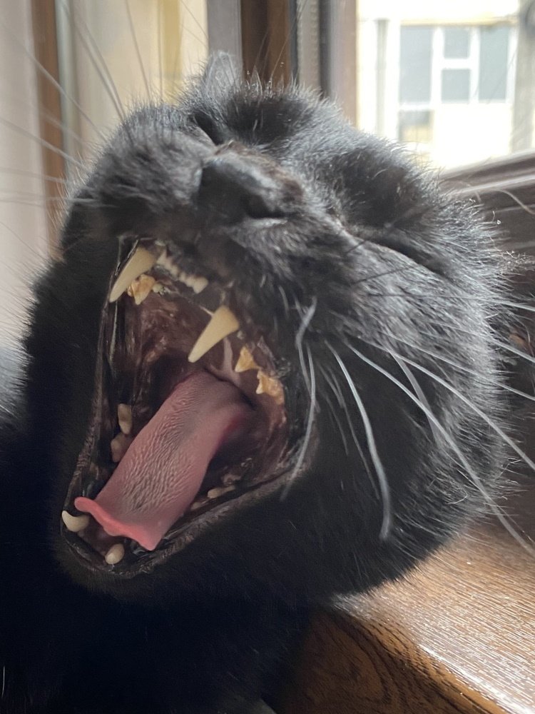 Photograph by Cristian Mirescu