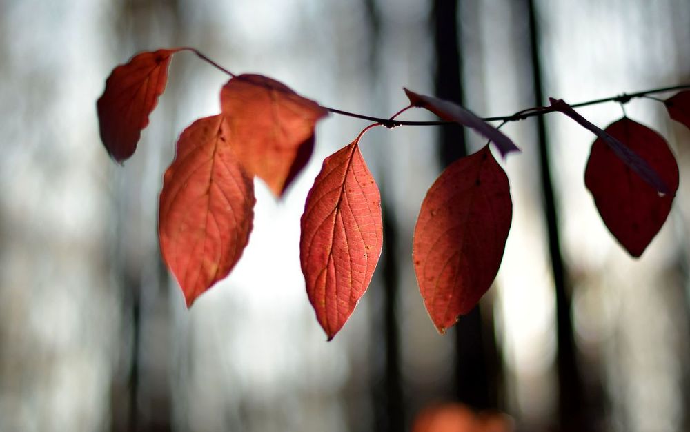 Игра цвета и света.