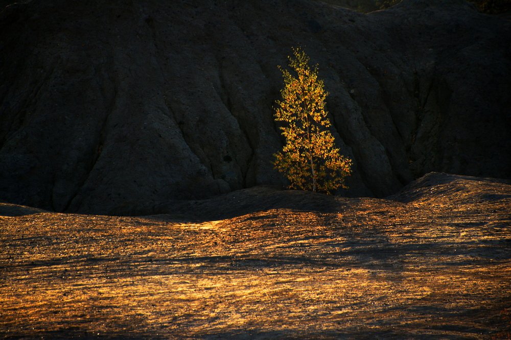 Фотография автора Александр Лукин