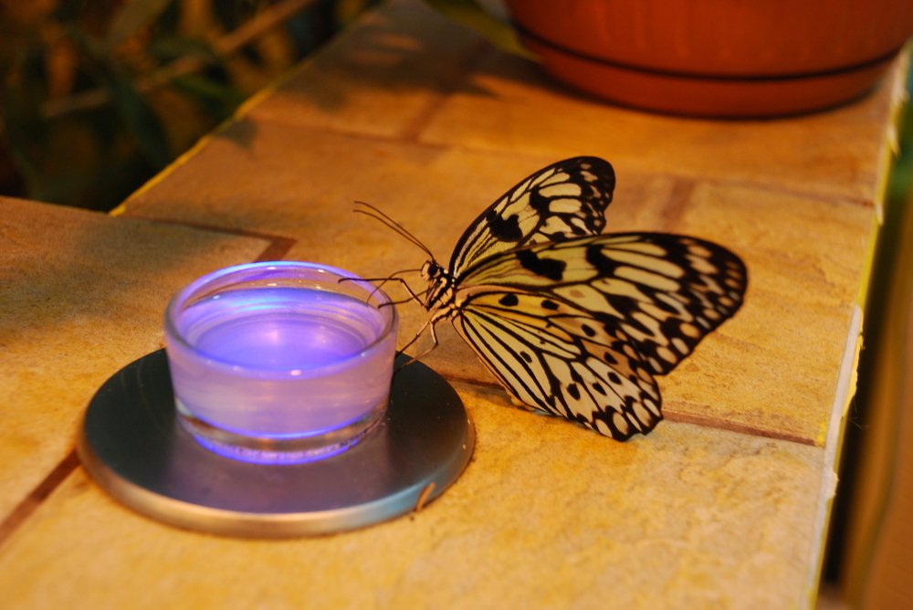 Photograph by Сергей Лобозов