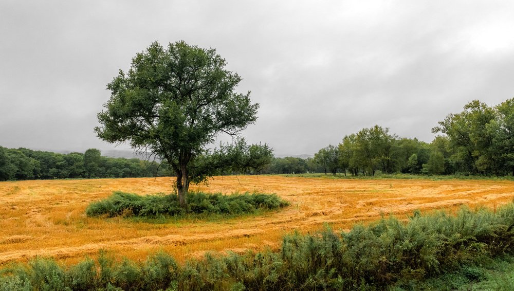 Photograph by Александр Карабас