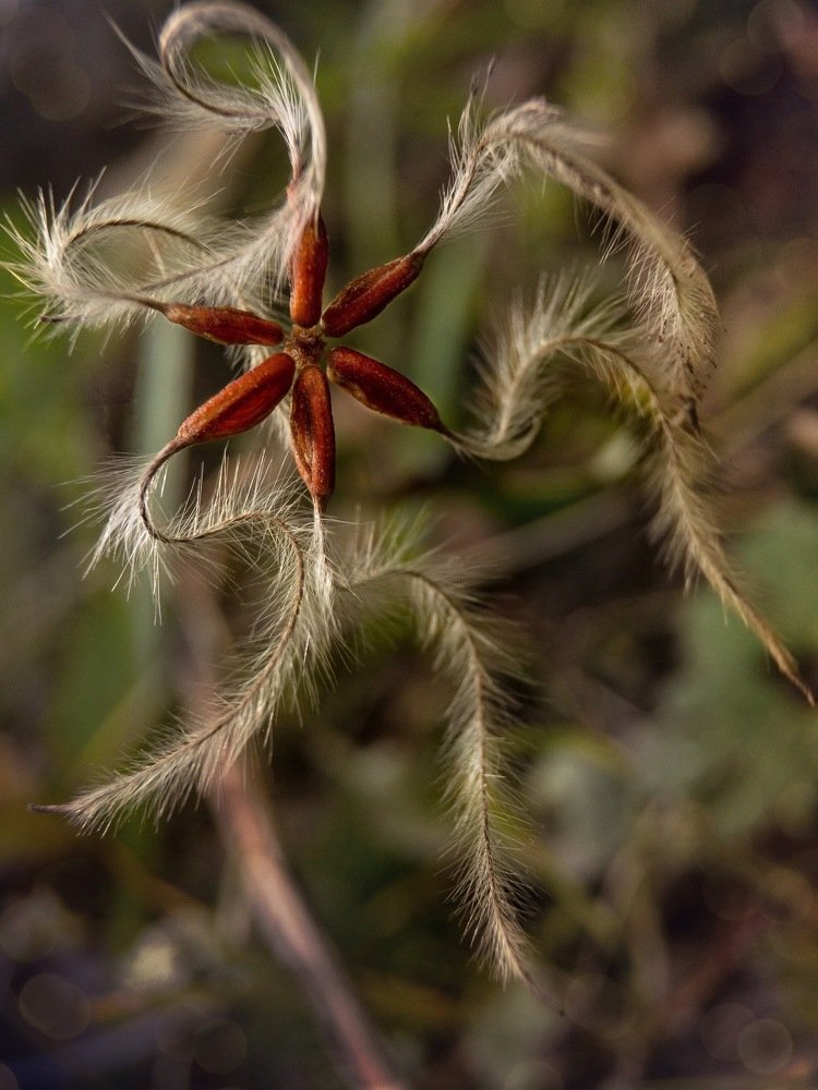Photograph by Людмила Коныгина