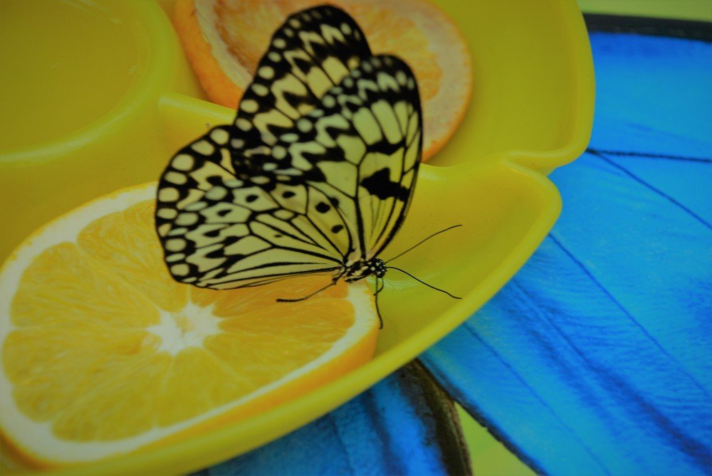 Photograph by Сергей Лобозов