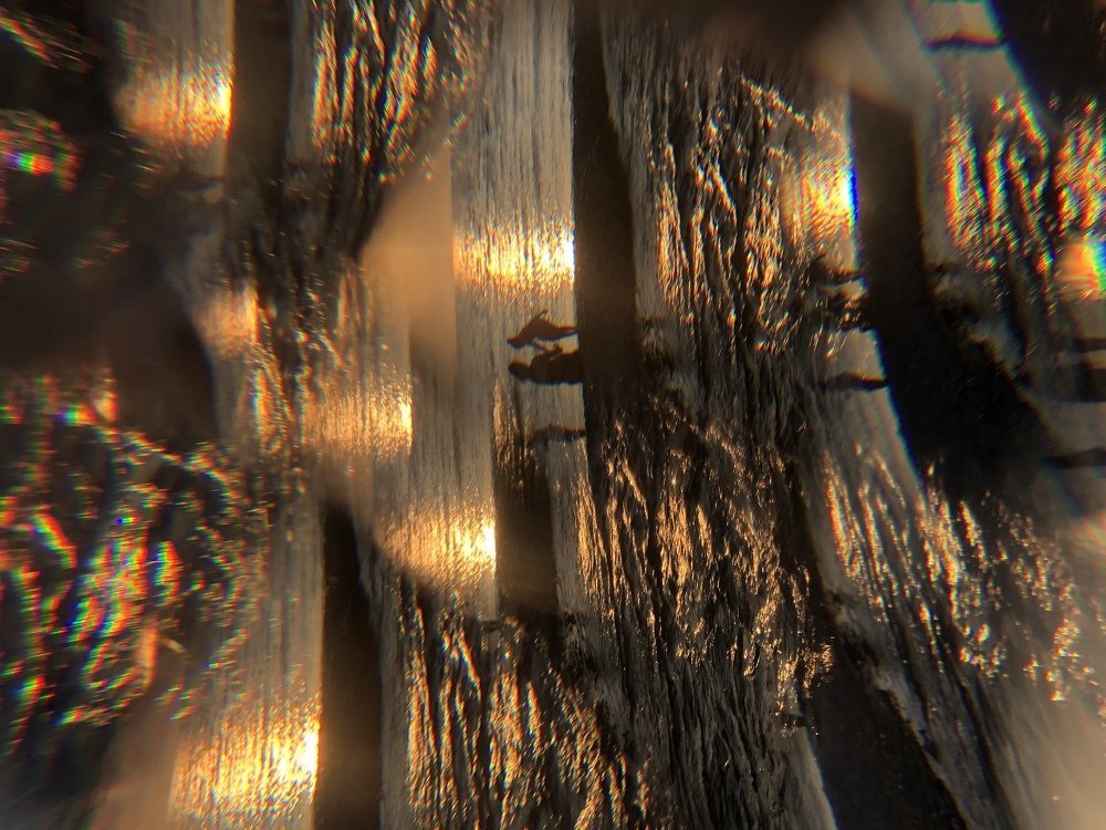 Photograph by Vlasenko Galina