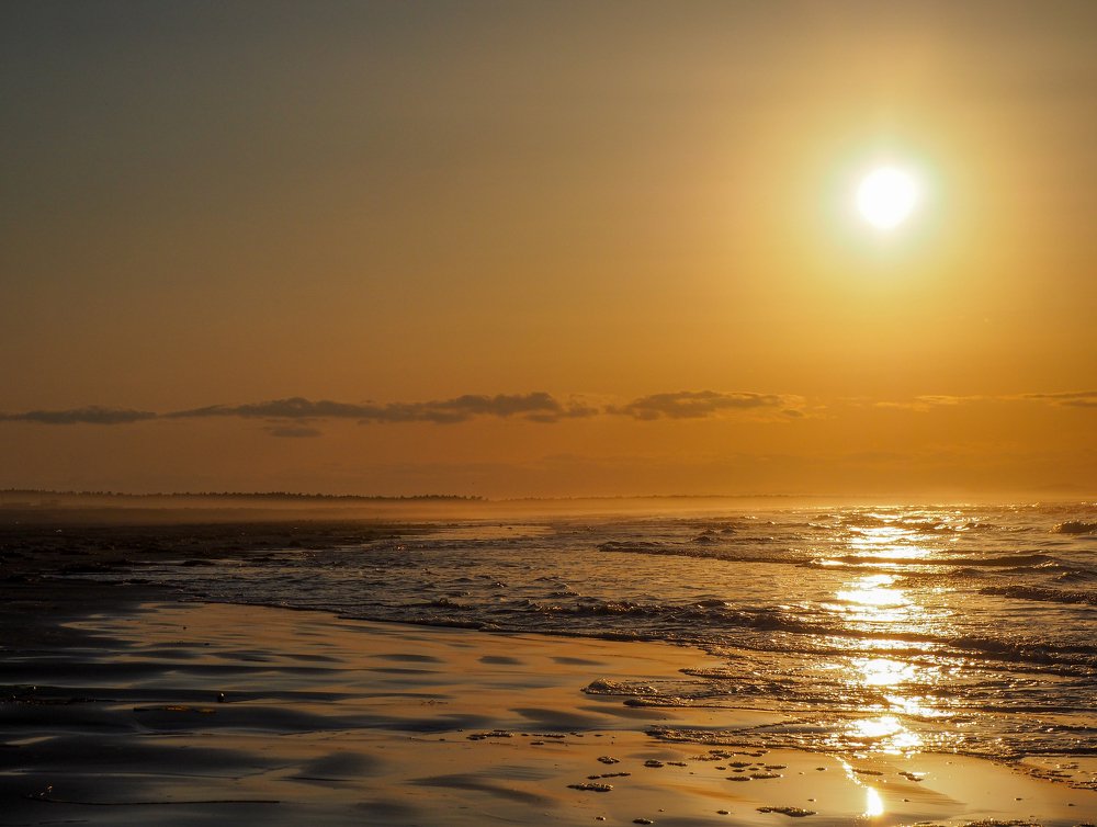 Фотография автора Olena Vorotyntseva