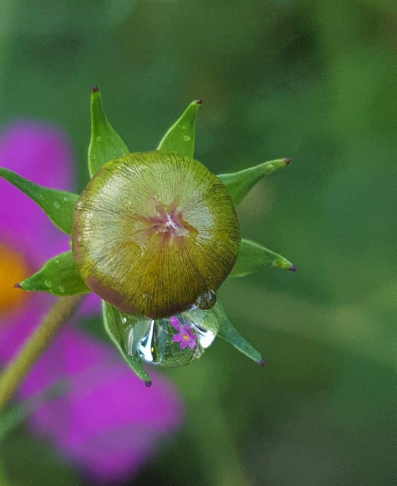 Photograph by Ольга Пумочка-13