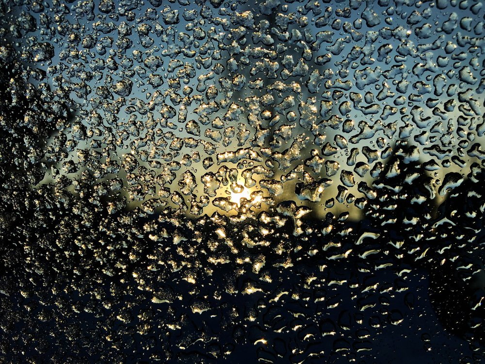 Photograph by Алёна Андреева