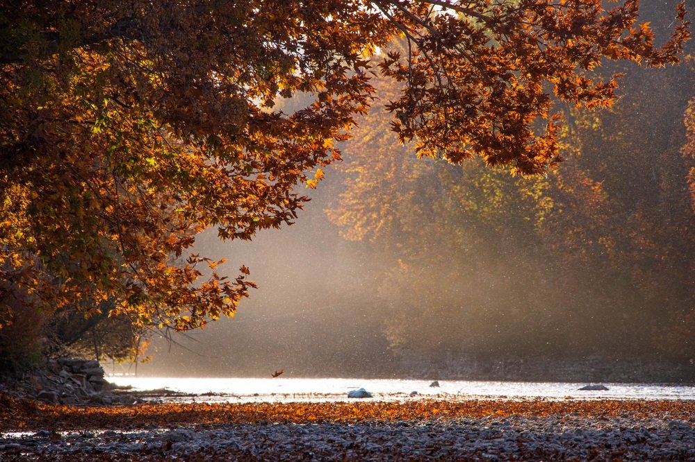 Photograph by Shahab