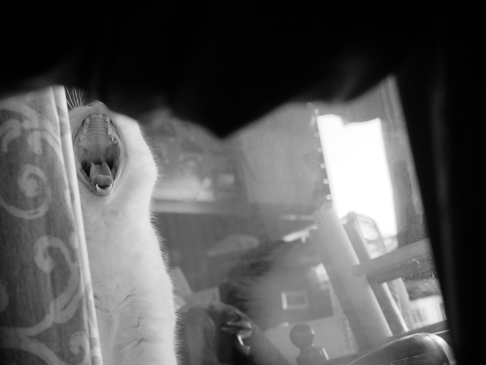 Фотография автора Pavel Skvortsov