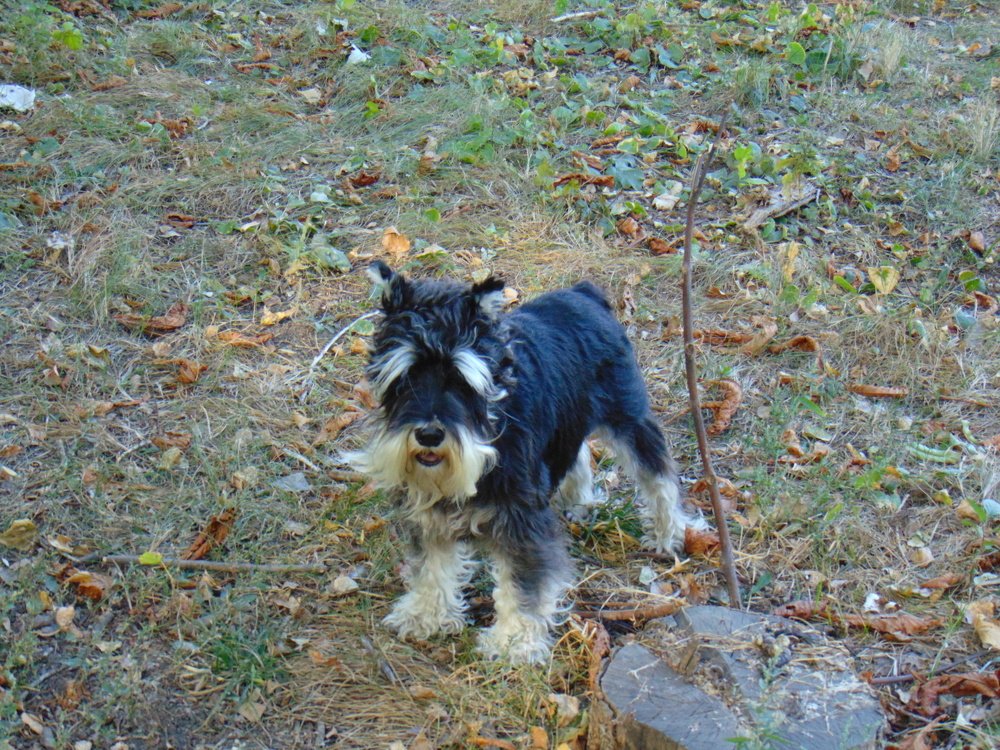 Photograph by Ольга Шевцова