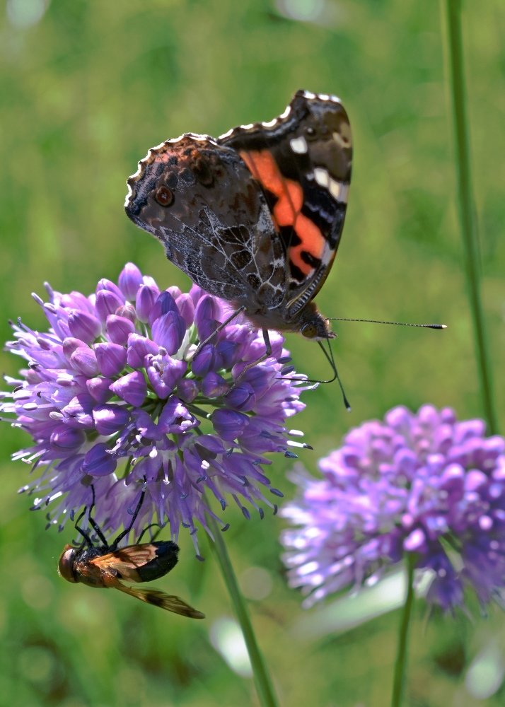 Photograph by Светлана Титова