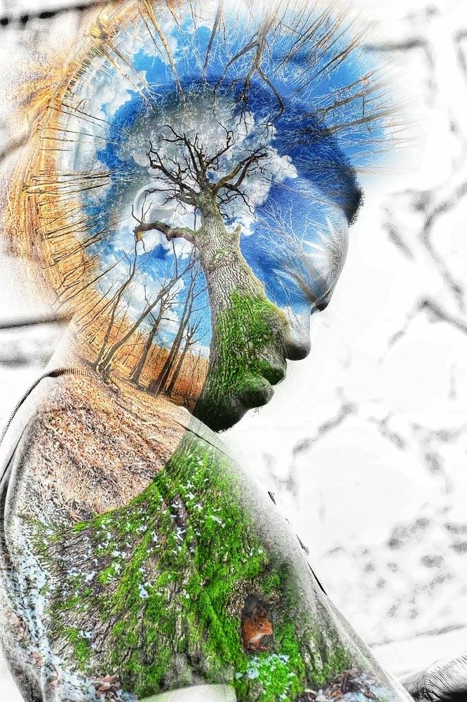 Фотография автора serubogo vicentes