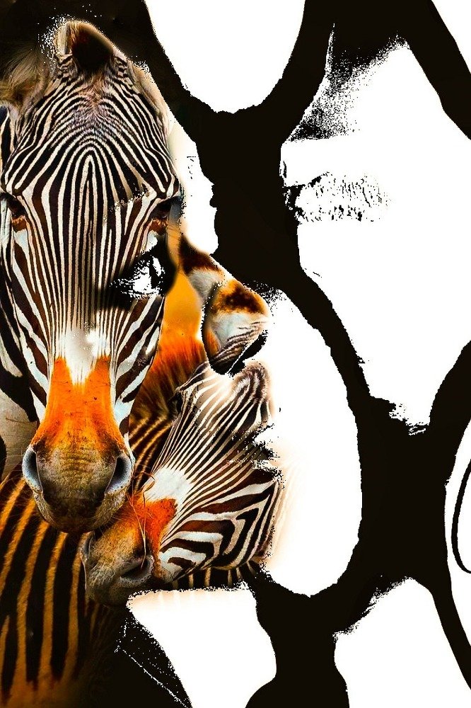 Фотография автора serubogo vicentes