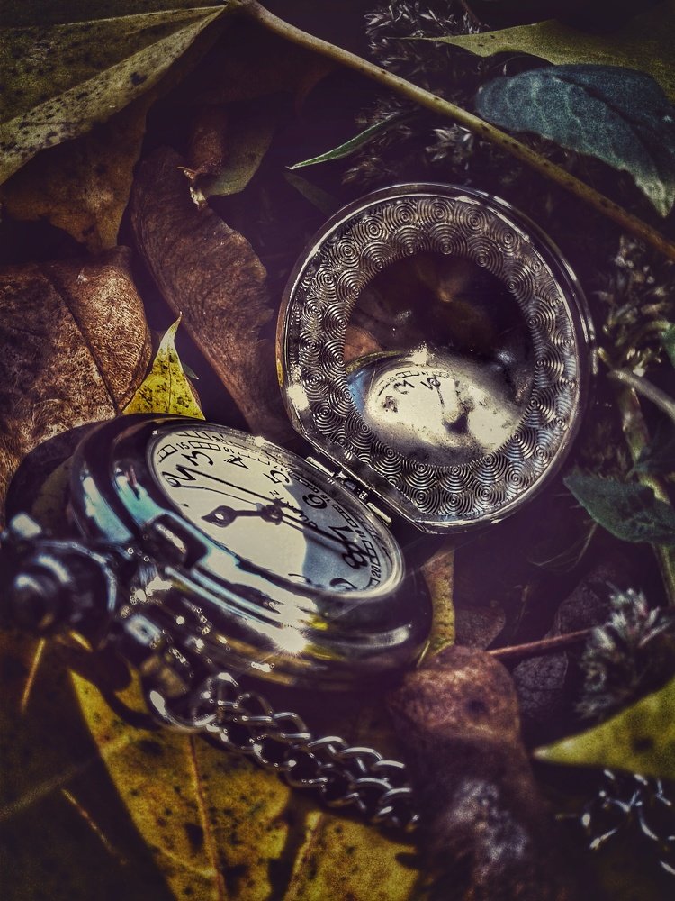 Photograph by Зайнаб Тиморевская