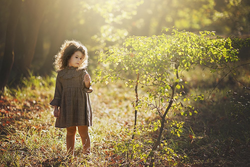 Фотография автора Bogdan Negoita