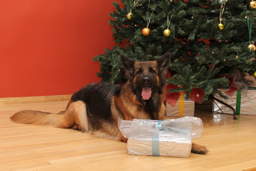 Photograph by Игорь Санюк