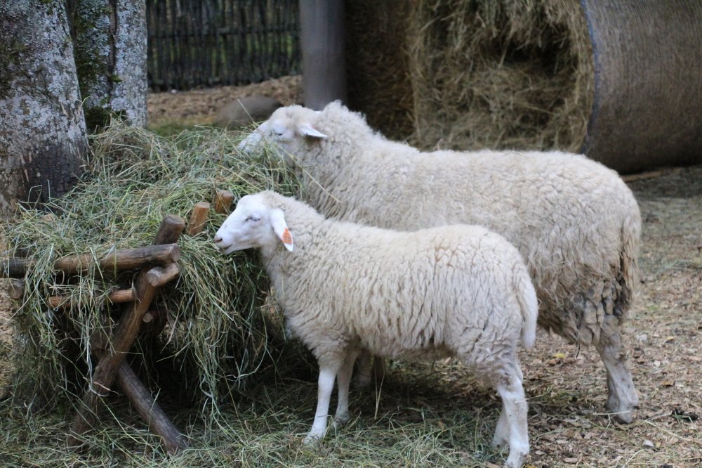 Photograph by Игорь Санюк