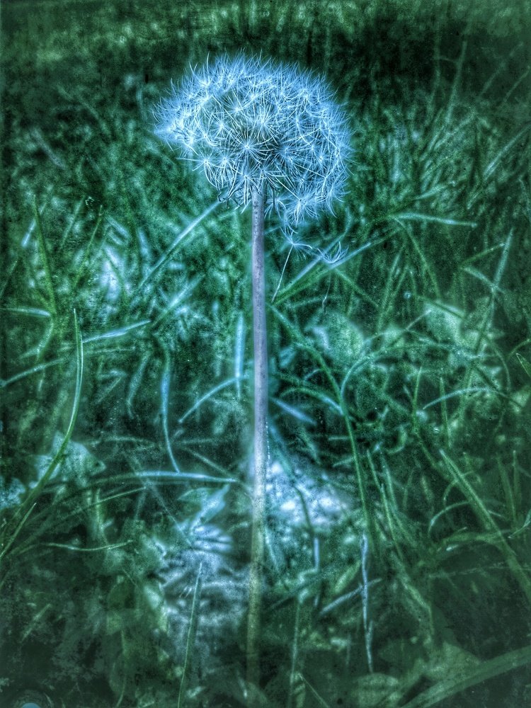 Photograph by Зайнаб Тиморевская